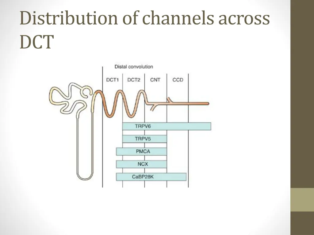 distribution of channels across dct