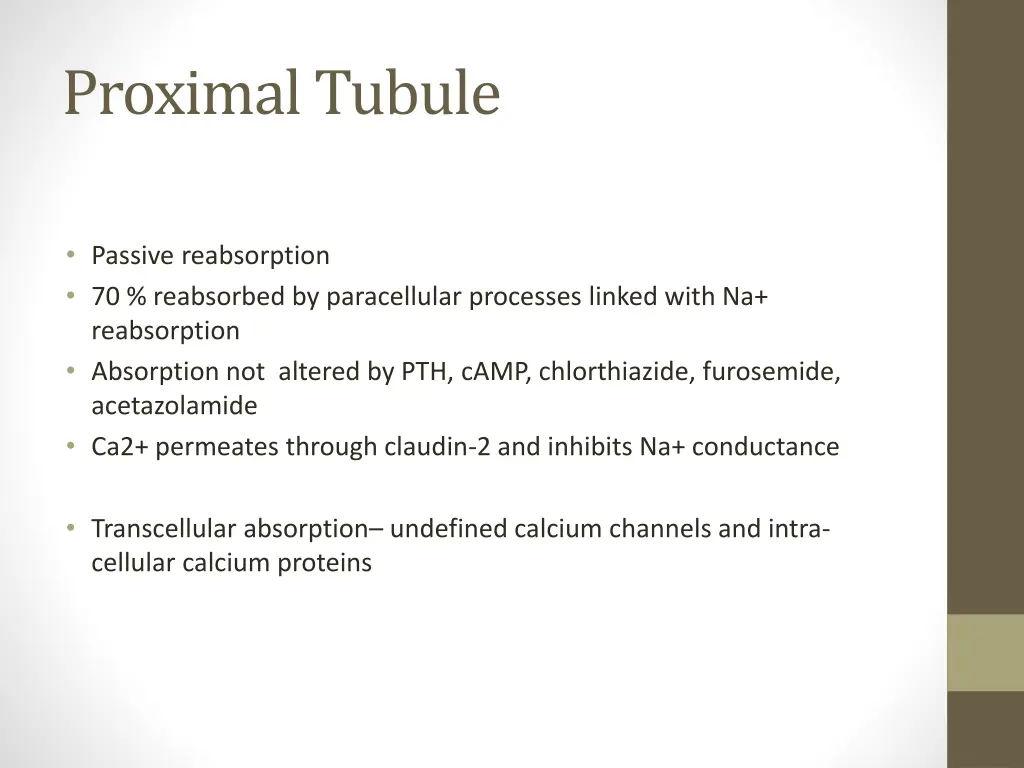 proximal tubule