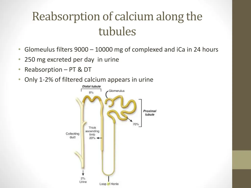 reabsorption of calcium along the tubules