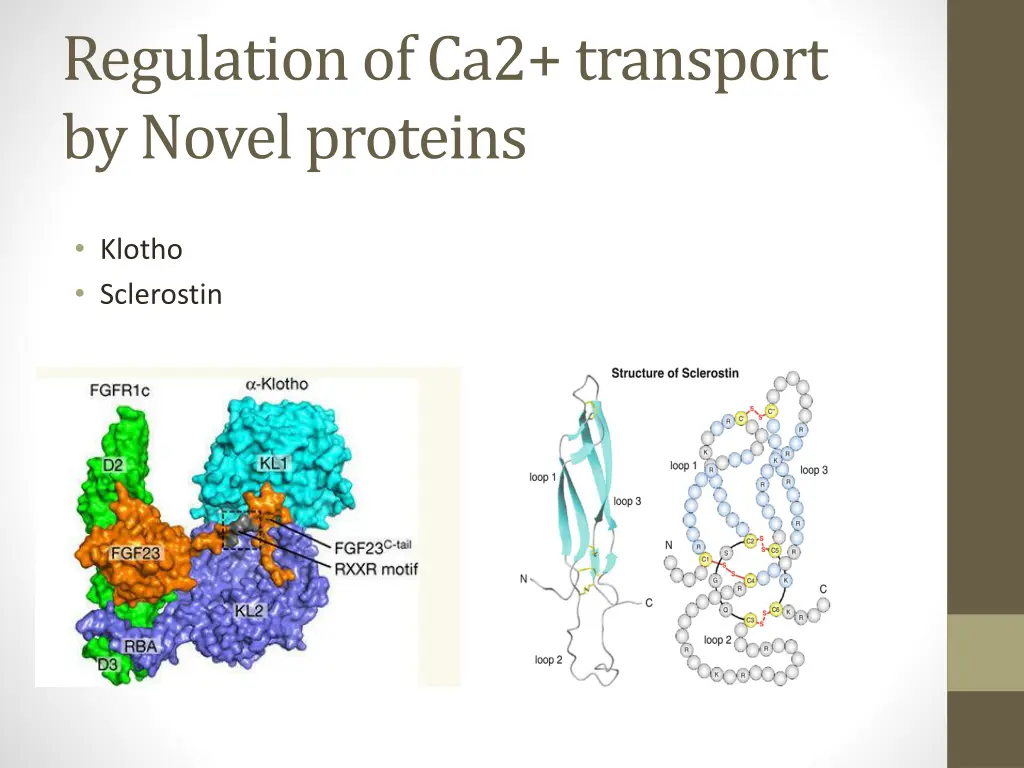 regulation of ca2 transport by novel proteins