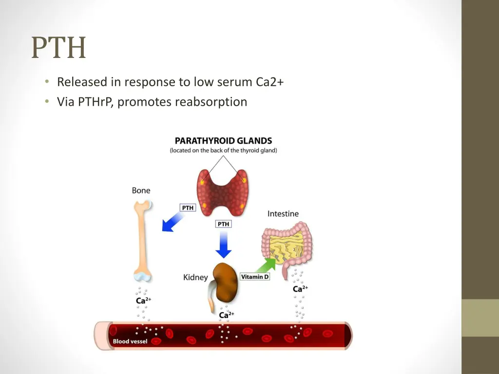 slide23