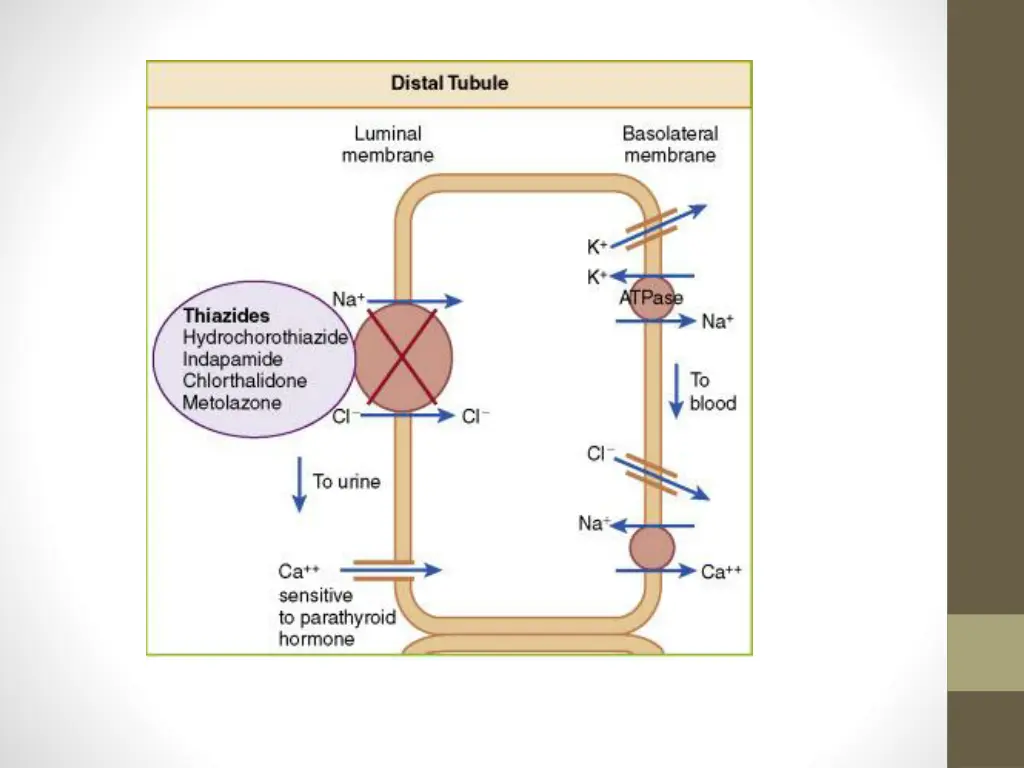 slide39