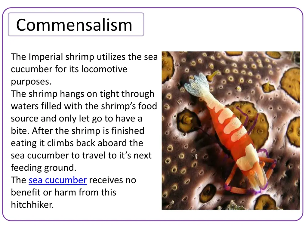 commensalism 1