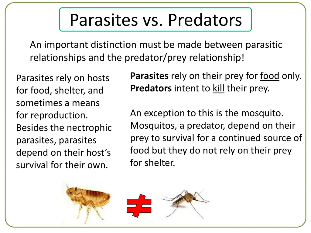 parasites vs predators