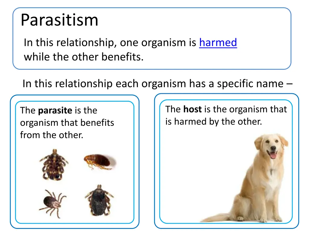 parasitism