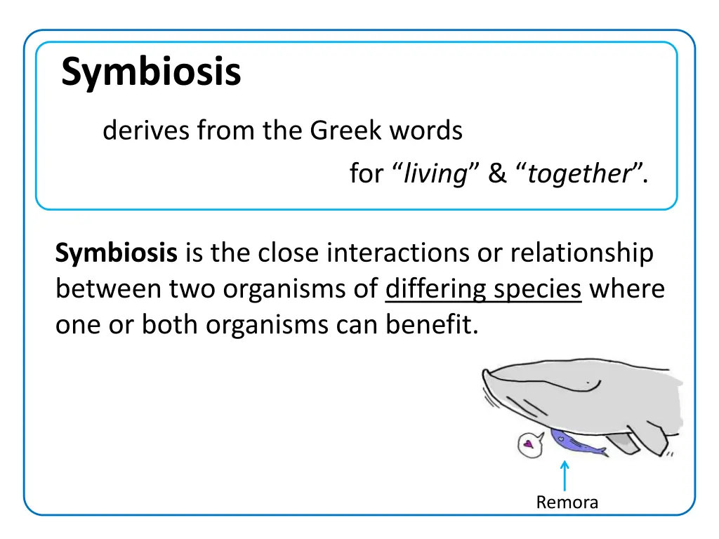 symbiosis