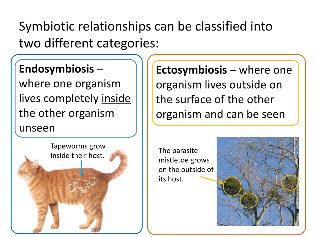 symbiotic relationships can be classified into