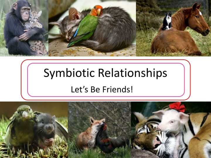 symbiotic relationships