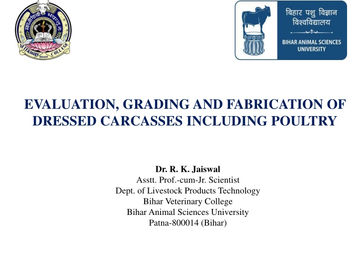 evaluation grading and fabrication of dressed