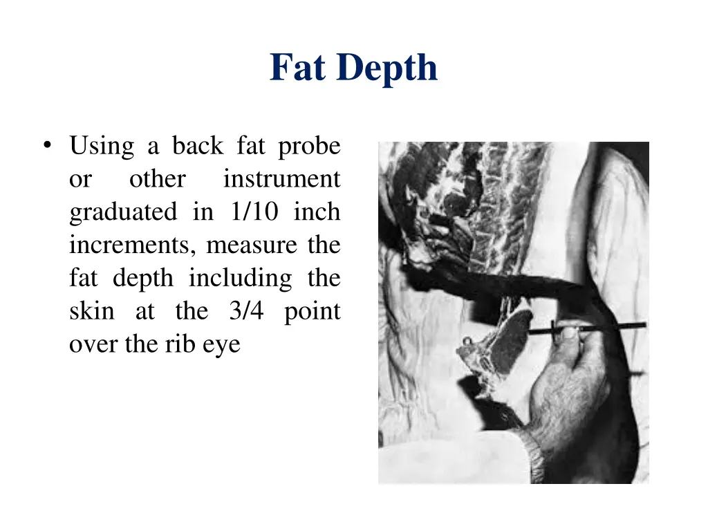 fat depth