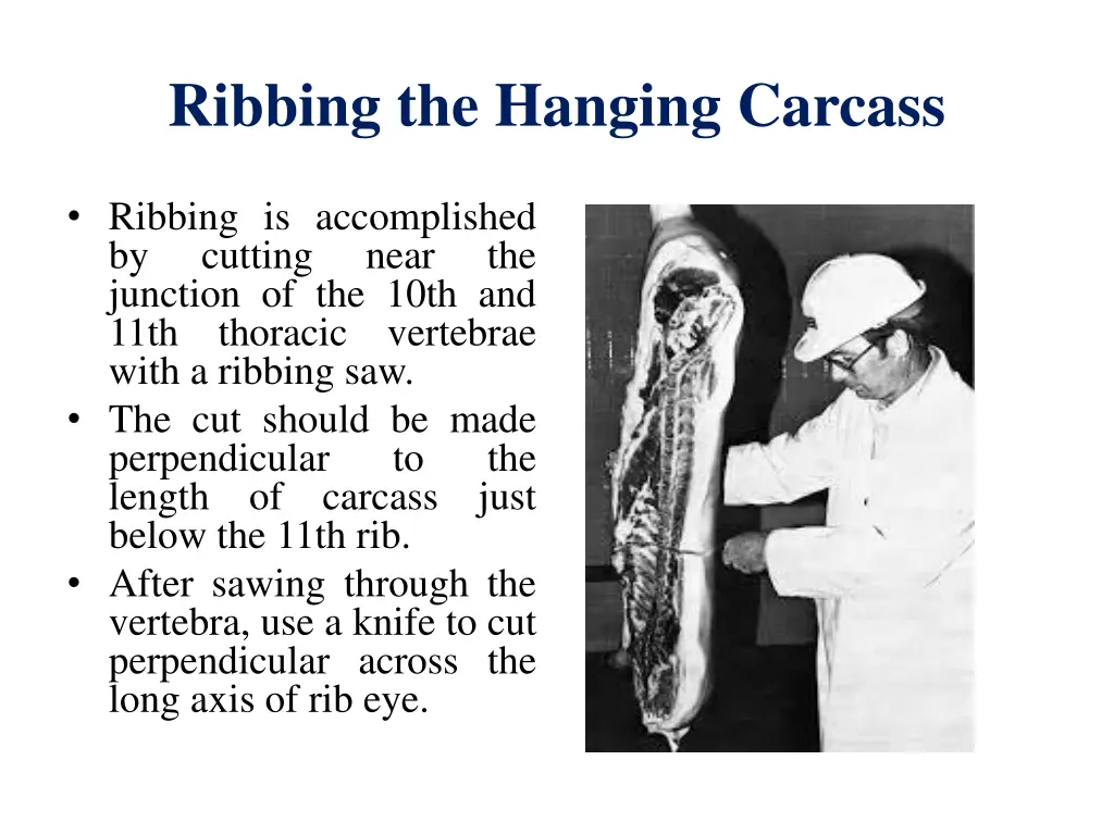 ribbing the hanging carcass