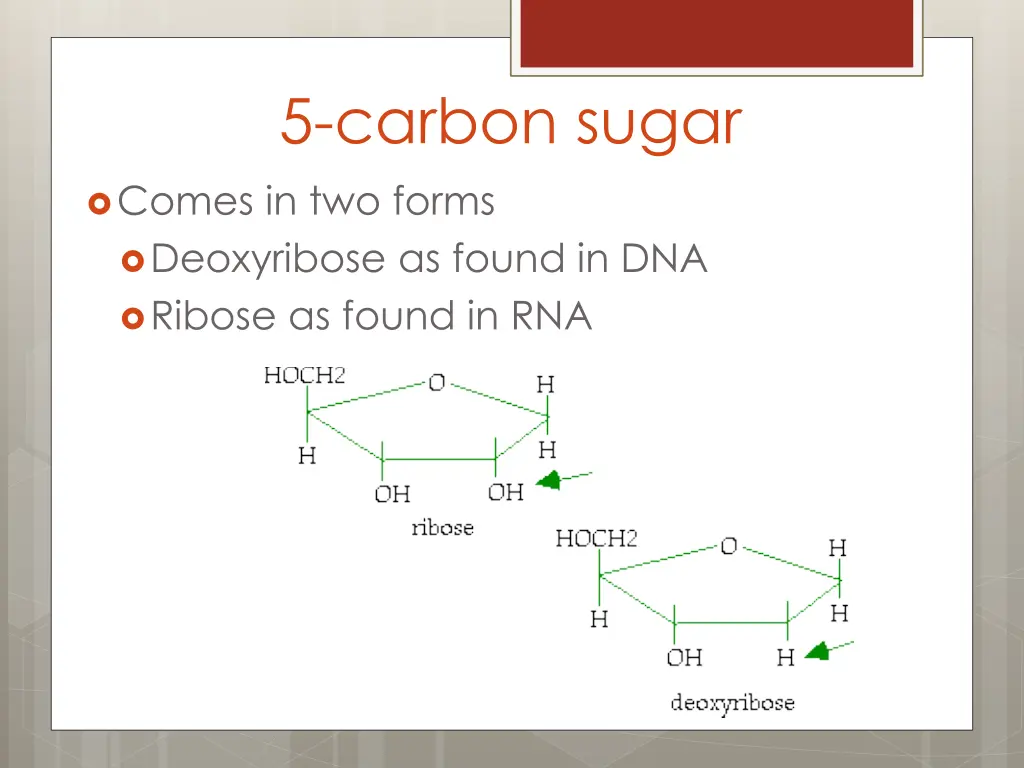 5 carbon sugar