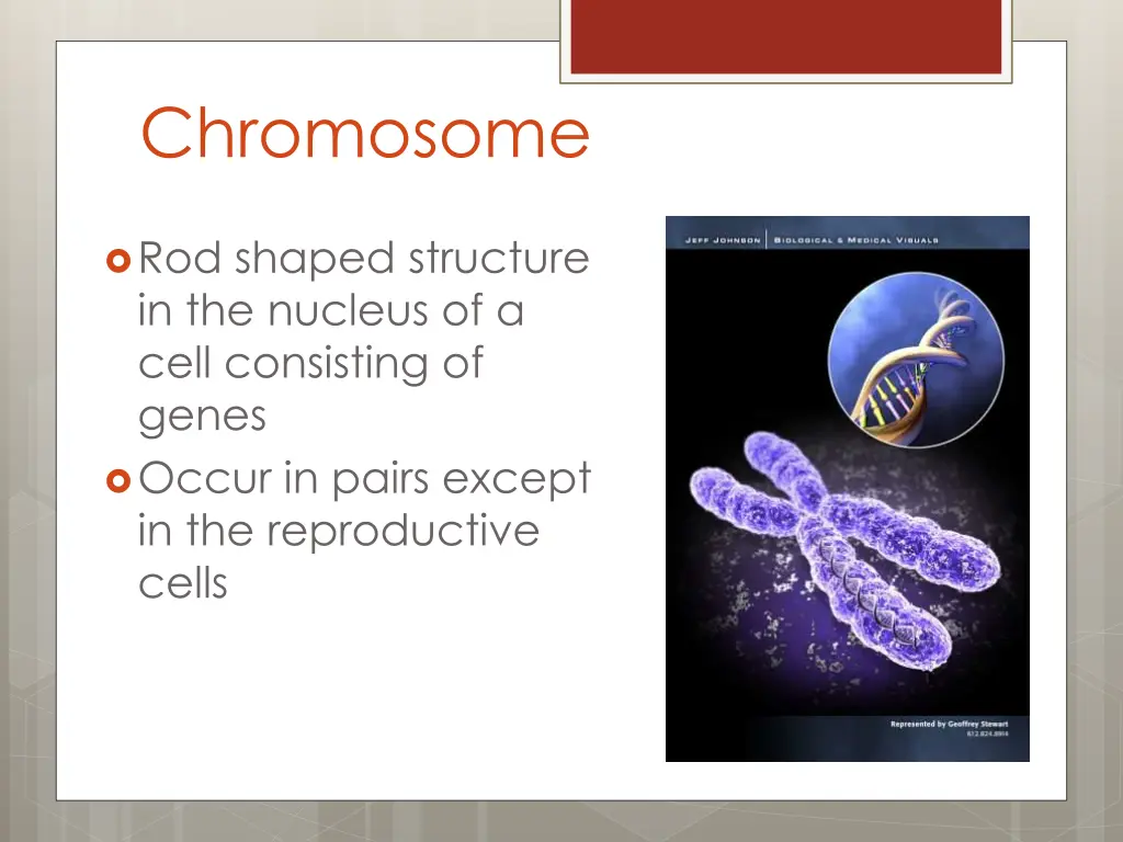 chromosome