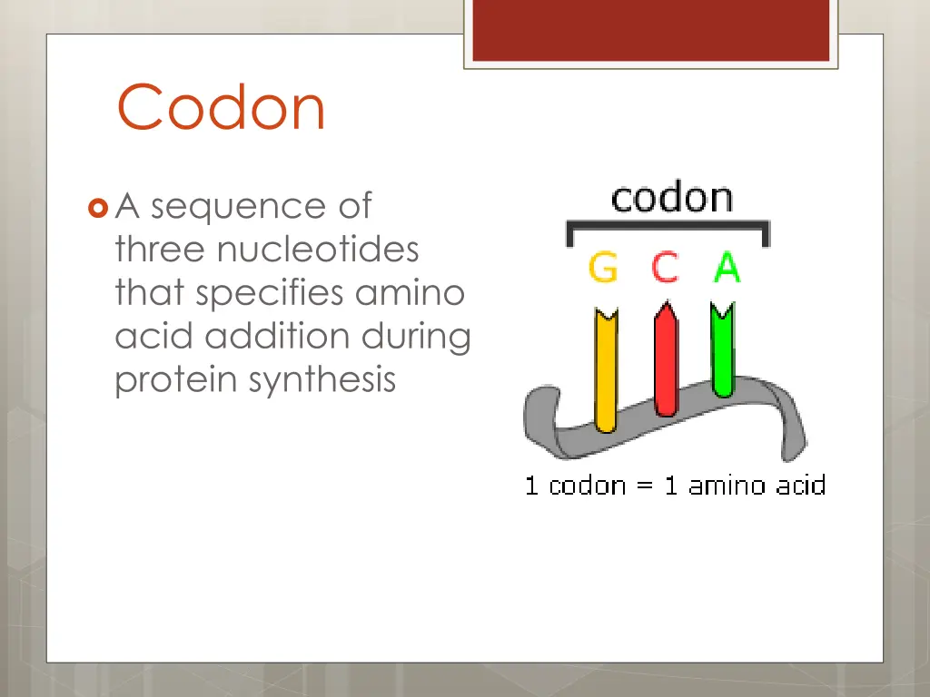 codon