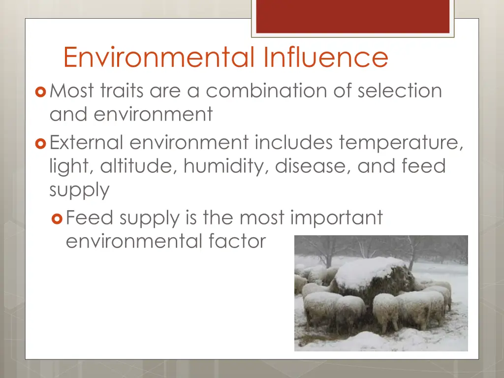 environmental influence most traits