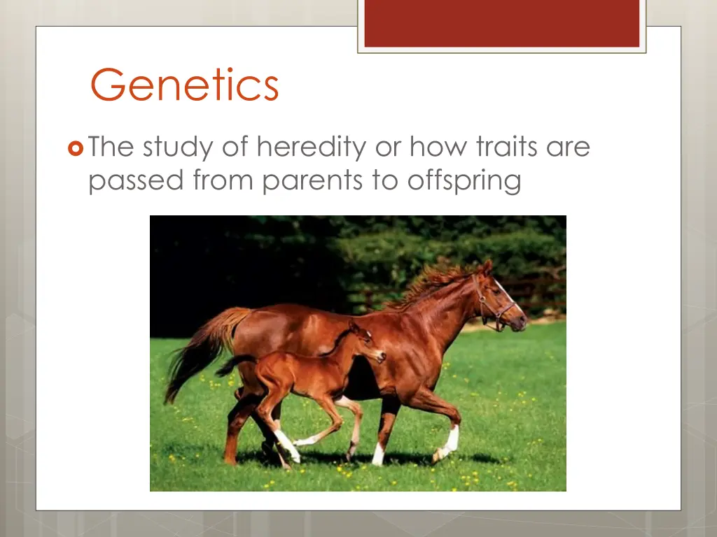 genetics