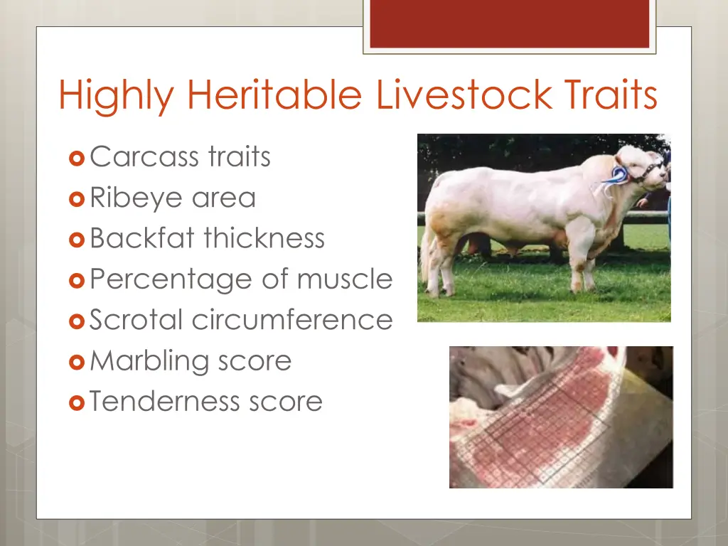 highly heritable livestock traits