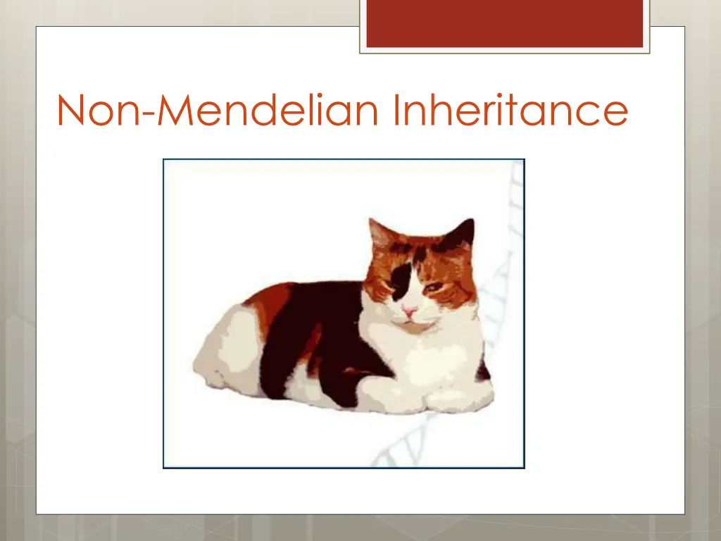 non mendelian inheritance