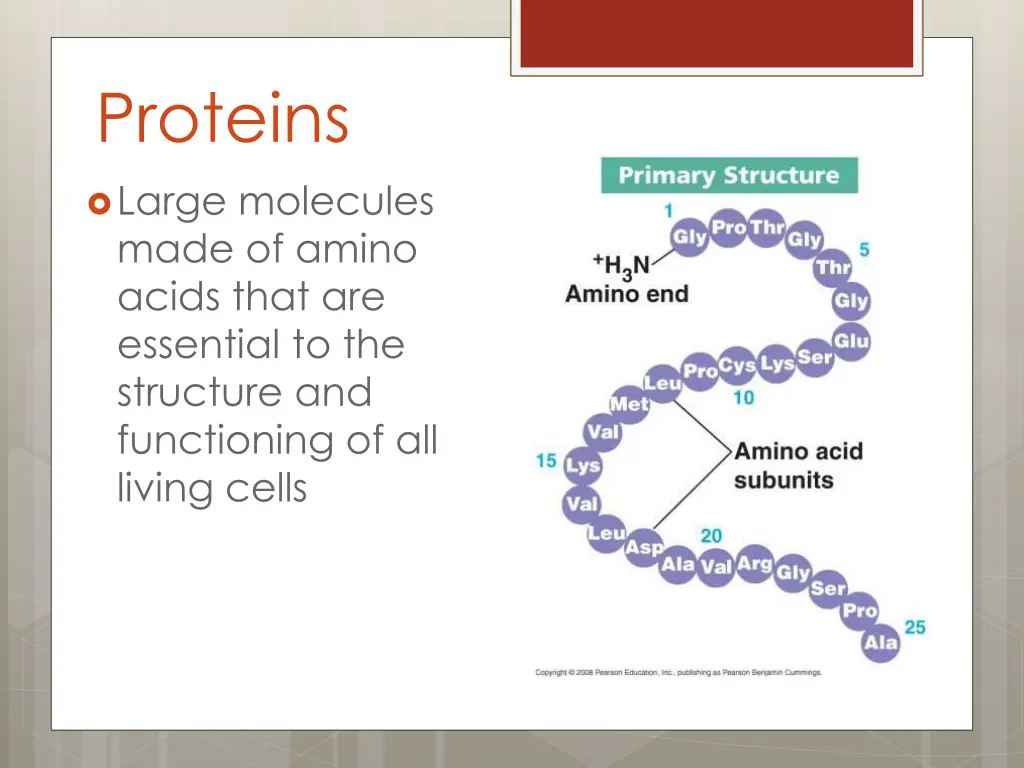 proteins