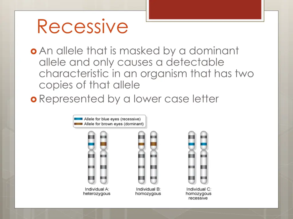 recessive