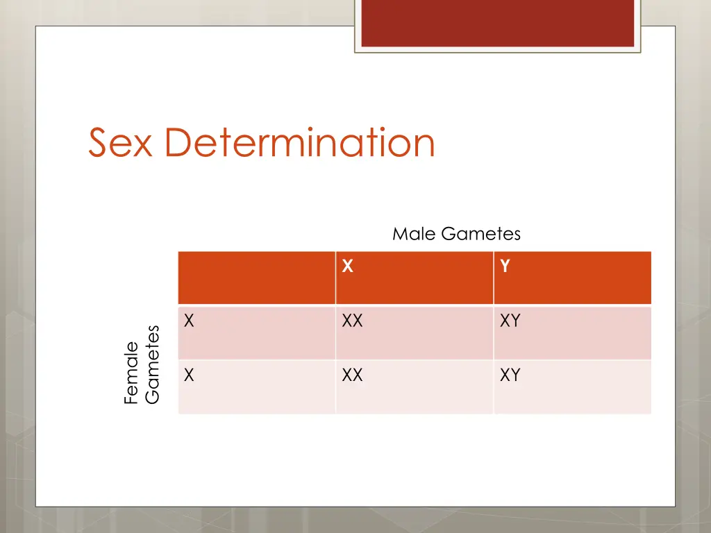 sex determination