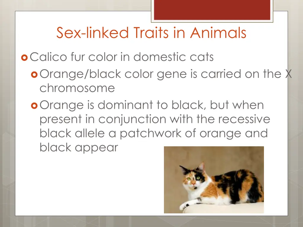 sex linked traits in animals