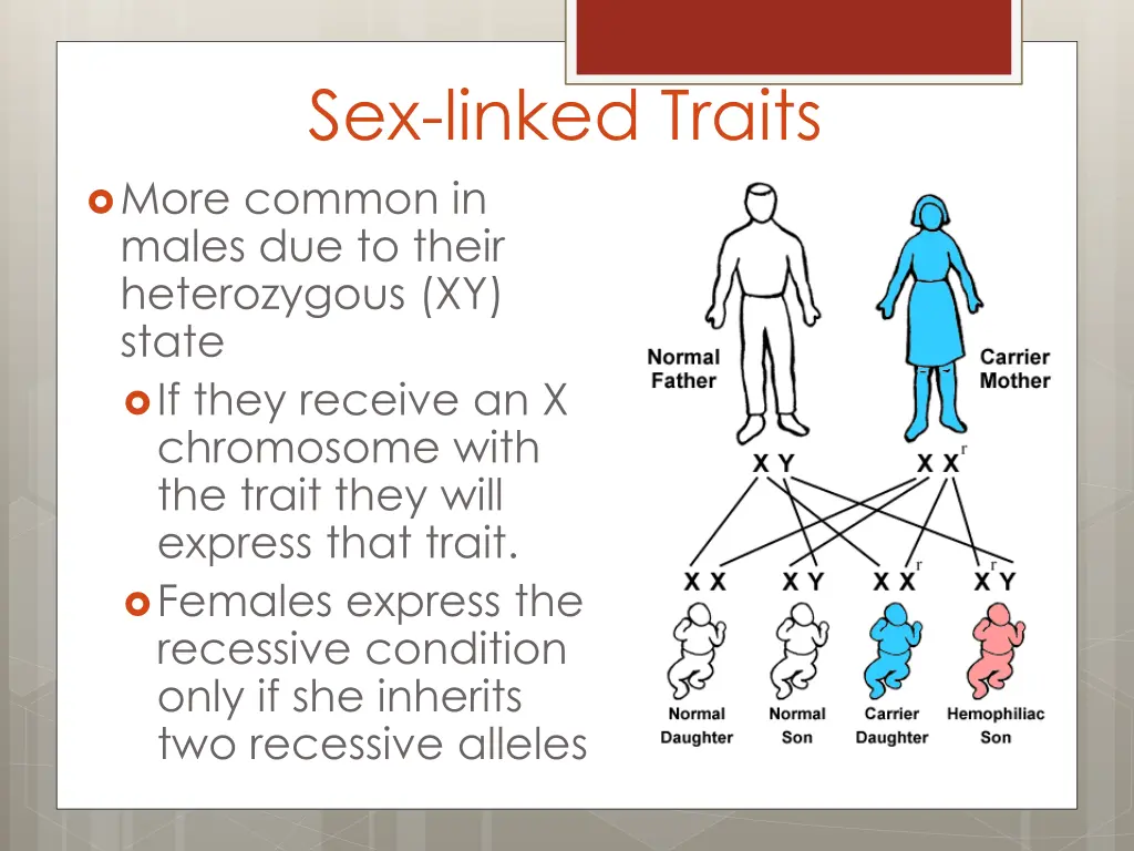 sex linked traits more common in males