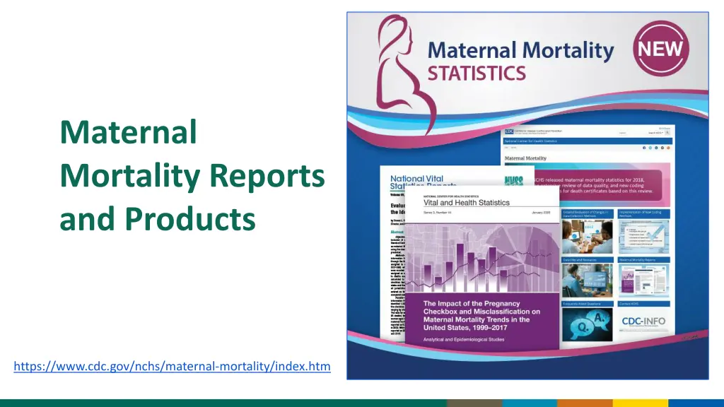 maternal mortality reports and products