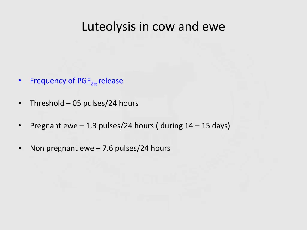 luteolysis in cow and ewe