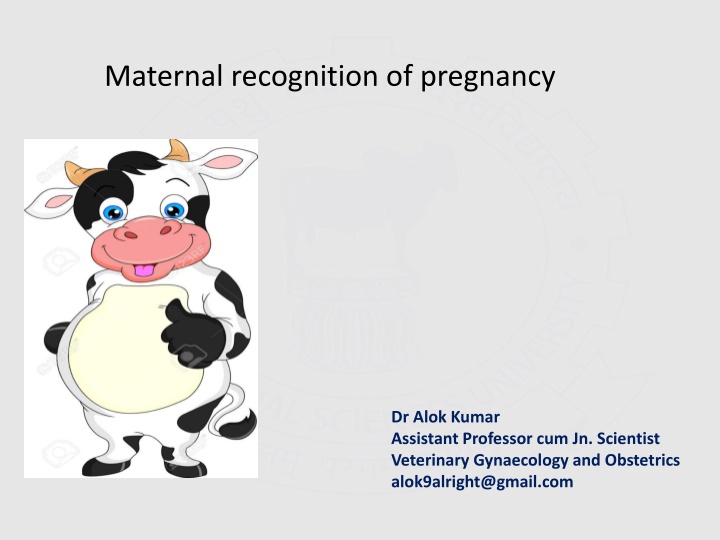 maternal recognition of pregnancy