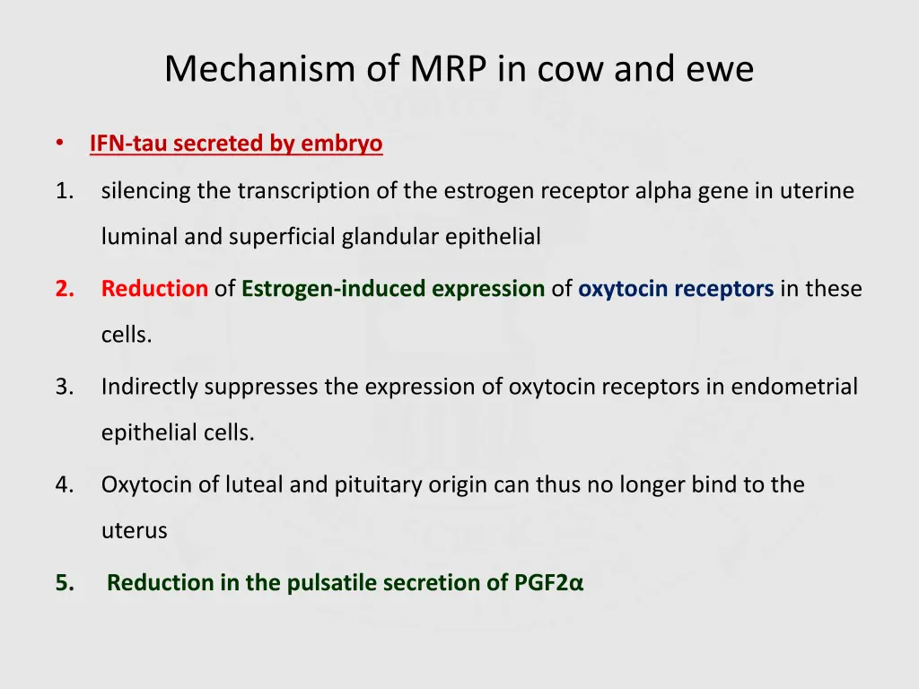 mechanism of mrp in cow and ewe