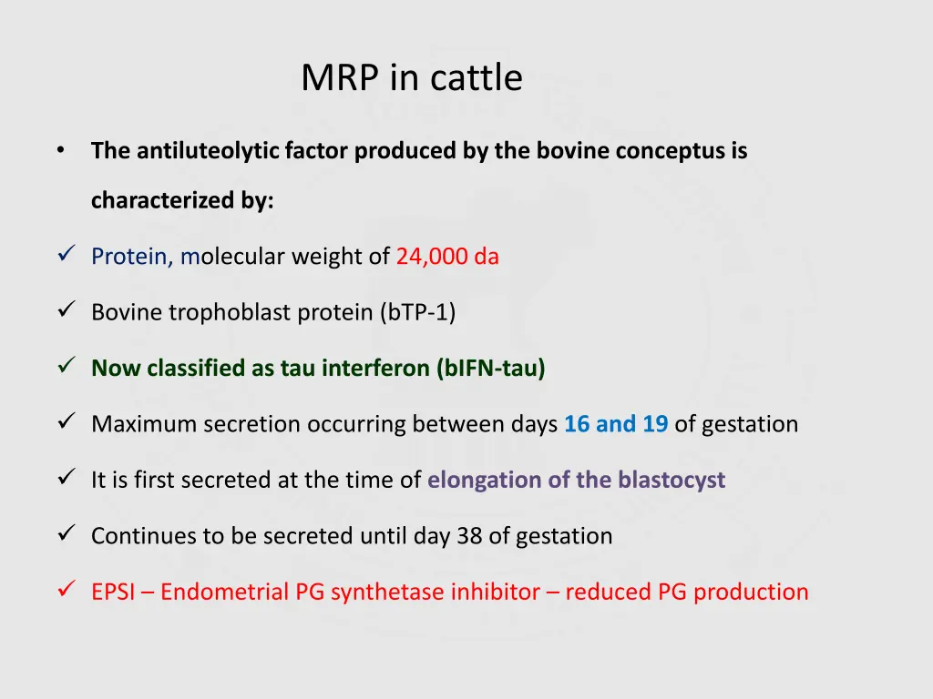 mrp in cattle