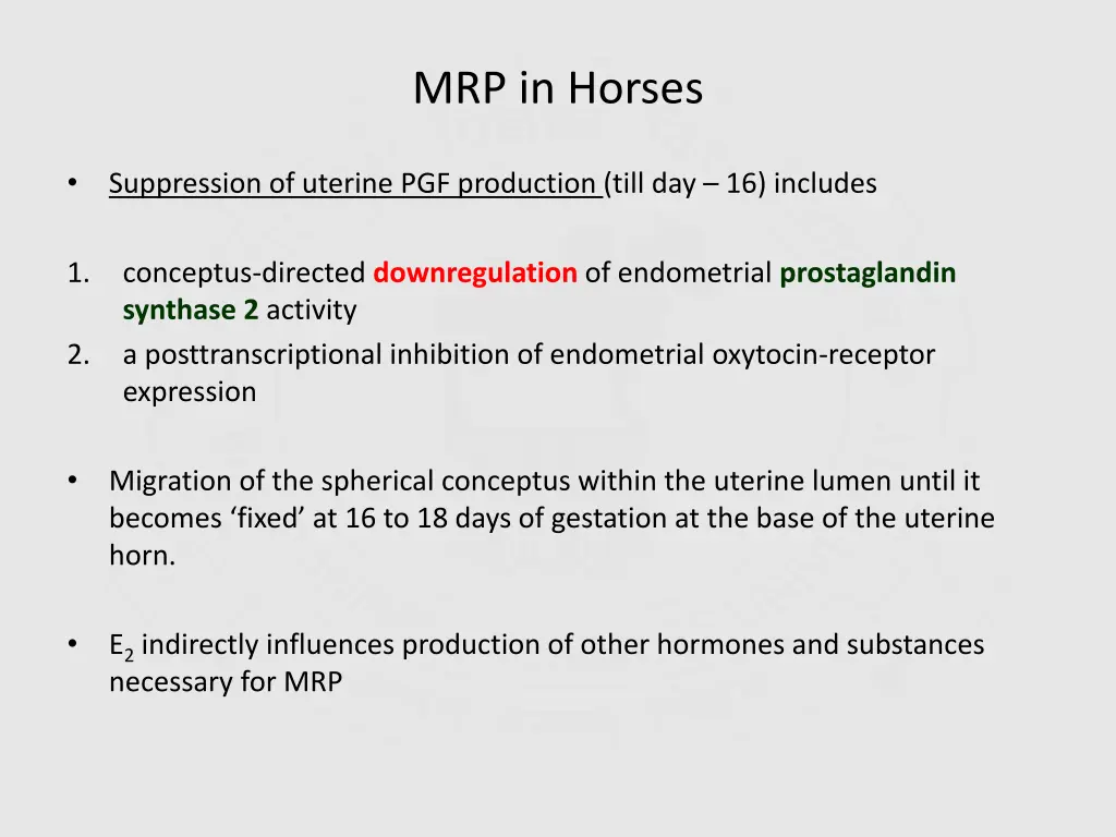 mrp in horses 1