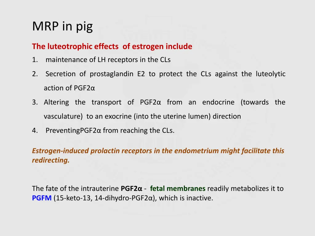 mrp in pig 1