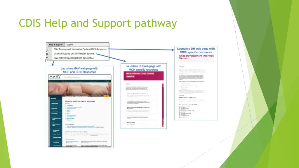 cdis help and support pathway