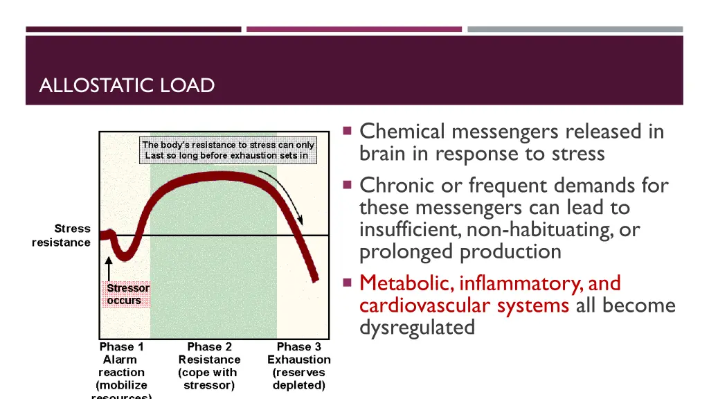 allostatic load 1