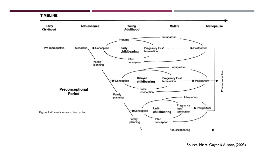 figure 1 women s reproductive cycles