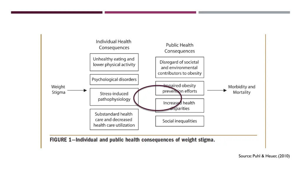 in sum does a high bmi or the stress of being