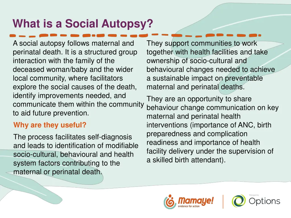 what is a social autopsy