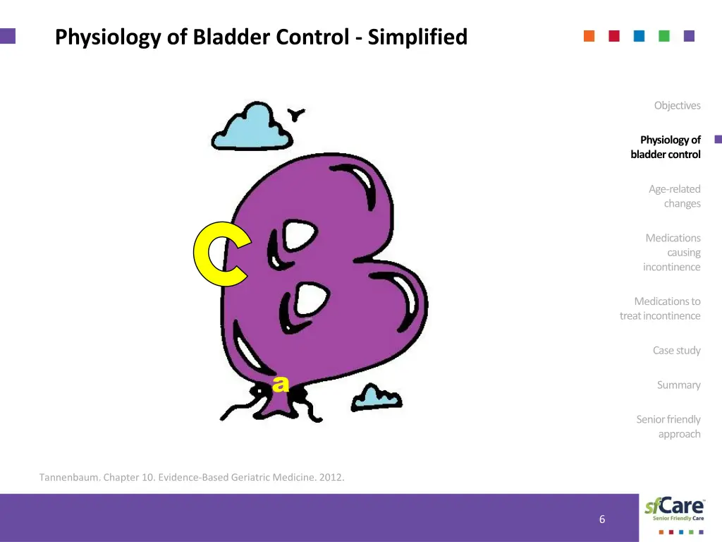 physiology of bladder control simplified