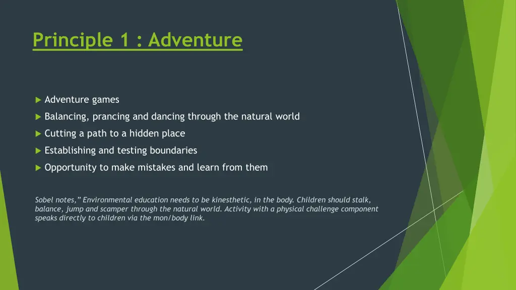 principle 1 adventure