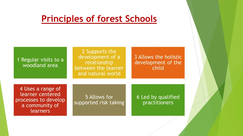 principles of forest schools