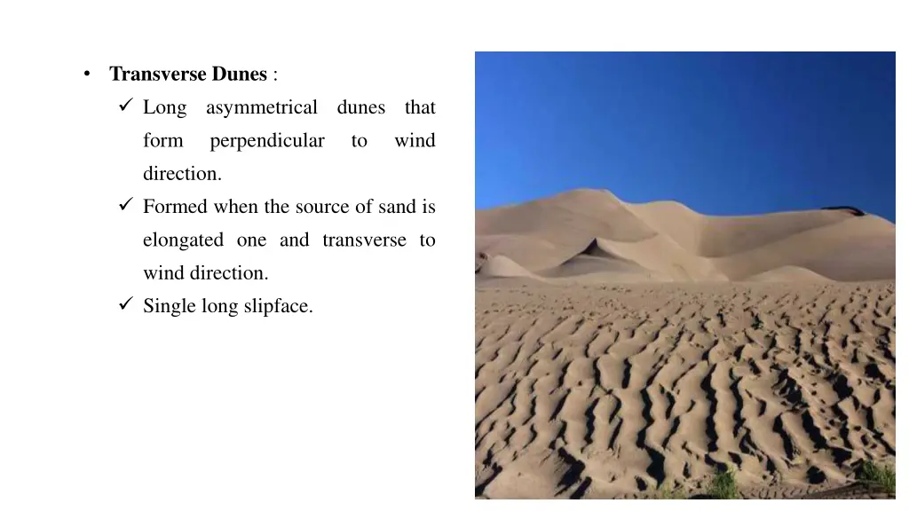 transverse dunes long asymmetrical dunes that