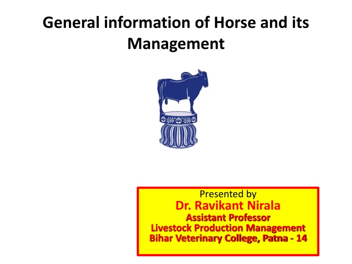 general information of horse and its management