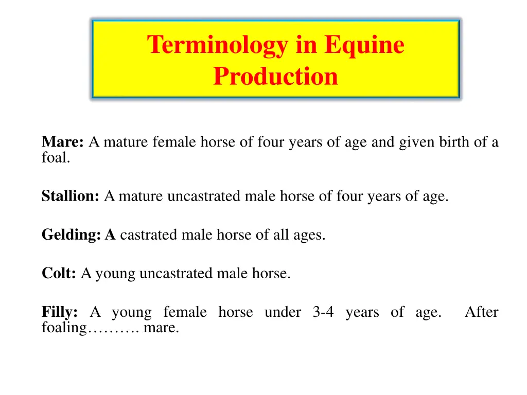 terminology in equine production