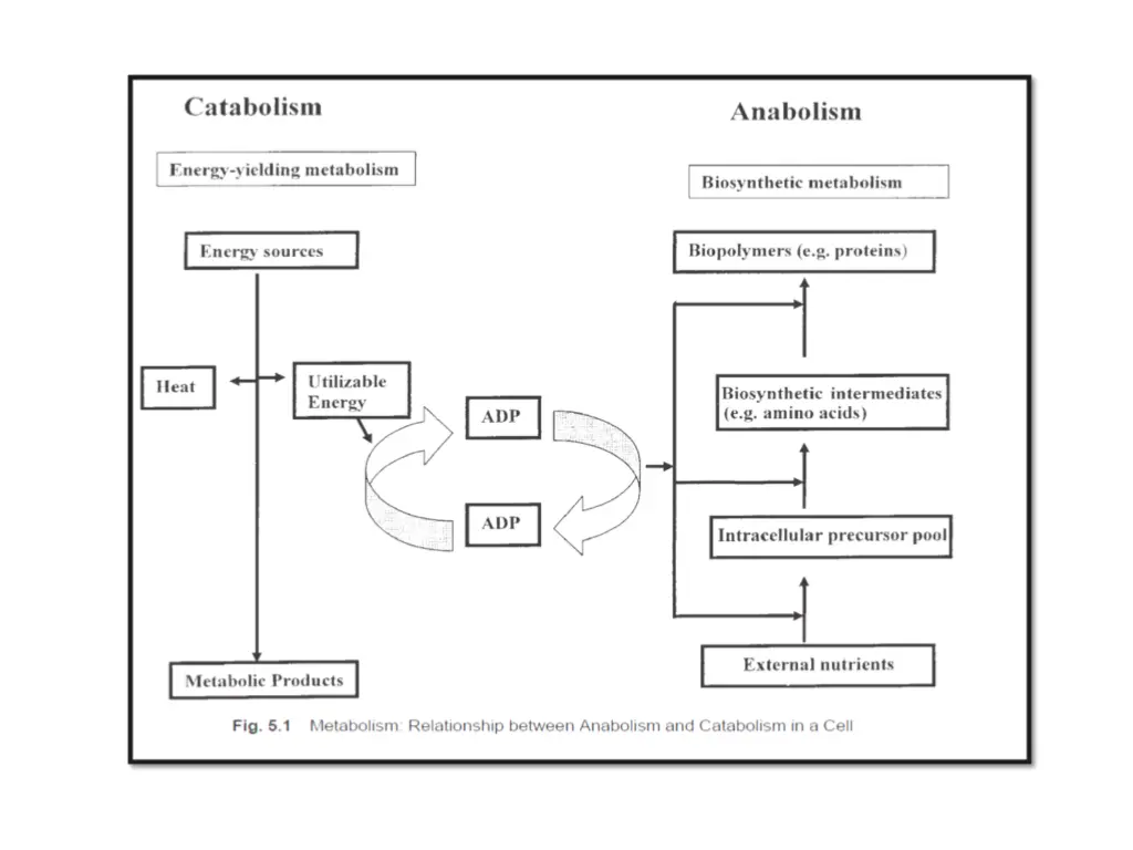 slide19