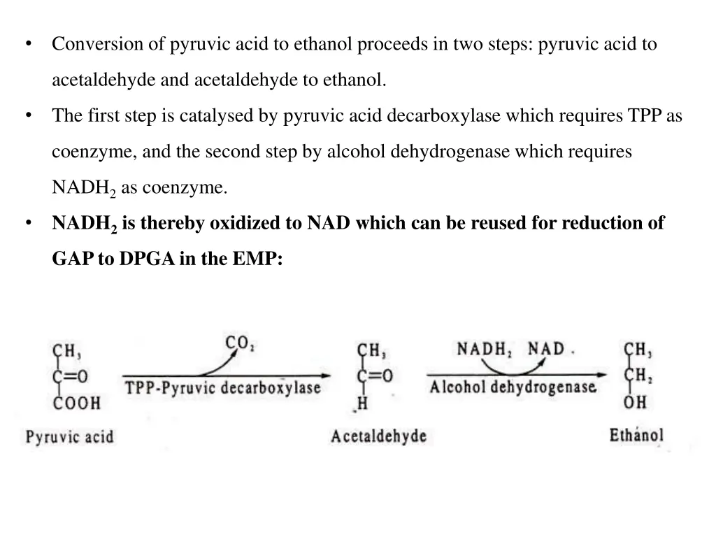 conversion of pyruvic acid to ethanol proceeds