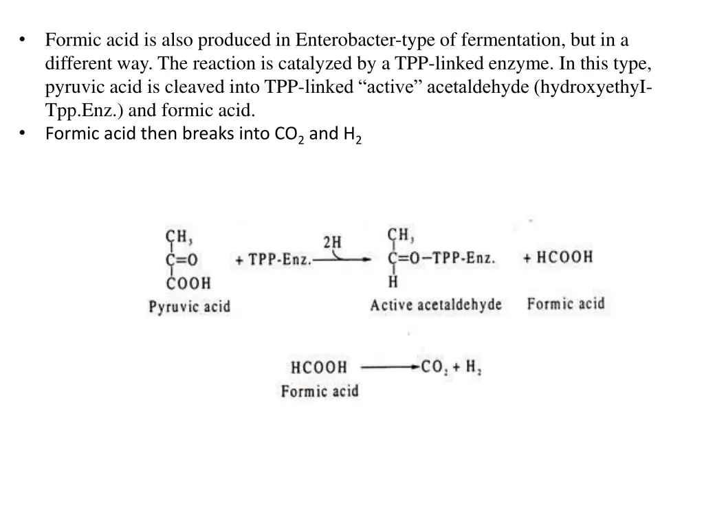 formic acid is also produced in enterobacter type