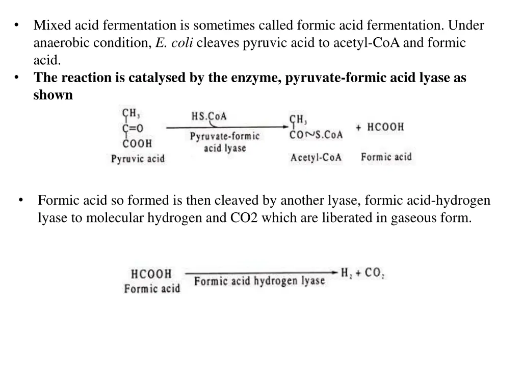 mixed acid fermentation is sometimes called