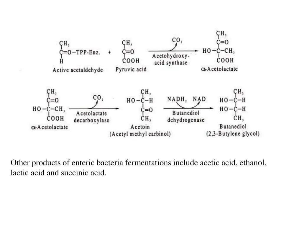 other products of enteric bacteria fermentations